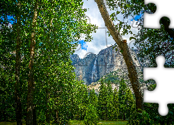 Stany Zjednoczone, Stan Kalifornia, Park Narodowy Yosemite, Las, Drzewa, Góry