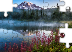 Park Narodowy Mount Rainier, Góry, Stratowulkan Mount Rainier, Mgła, Jezioro, Trawy, Drzewa, Stan Waszyngton, Stany Zjednoczone