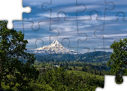 Stany Zjednoczone, Stan Oregon, Góra, Stratowulkan, Mount Hood, Drzewa