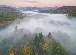 Lasy, Drzewa, Mgła, Wzgórza, Park Narodowy Lake District, Kumbria, Anglia