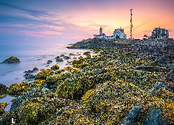 Stany Zjednoczone, Stan Massachusetts, Zatoka, Cape Cod Bay, Morze, Latarnia morska, Nobska Point Light, Skały, Wschód słońca