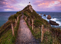 Morze, Skały, Latarnia morska, Nugget Point Lighthouse, Ścieżka, Otago, Nowa Zelandia