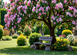 Park, Drzewa, Kwiaty, Ławka, Klomby