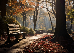 Jesień, Park, Ławka, Drzewa, Ścieżka