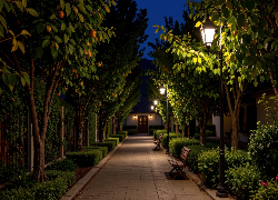 Drzewa owocowe, Ławki, Latarnie, Aleja