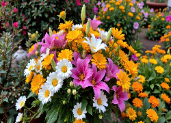 Kolorowe, Kwiaty, Lilie, Margerytki, Bukiet