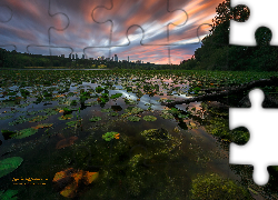 Zachód słońca, Staw, Liście, Lilie wodne, Drzewa, Domy, Chmury, Deer Lake Park, Vancouver, Kanada