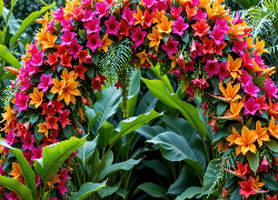 Łuk, Kolorowe, Kwiaty, Liście