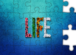 Grafika, Napis, Life, Śnieg, Tulipany, Trawa, Liście, Pory roku
