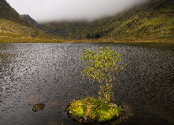 Wysepka, Drzewo, Jezioro, Zielone, Wzgórza, Mgła