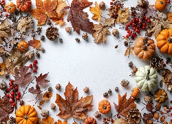 Brązowe, Liście, Klonu, Dynie, Szyszki, Gałązki, Czerwone, Owoce, Orzechy, Kompozycja, Jesienna