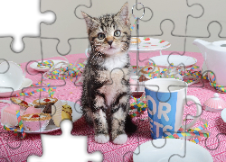 Mały, Kot, Kubek, Babeczki, Talerzyki