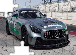 Mercedes-AMG GT4