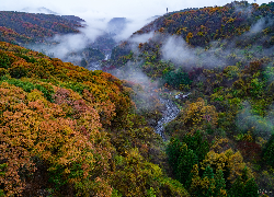 Jesień, Góry, Las, Kolorowe, Drzewa, Mgła, Rzeka, Nikko, Japonia