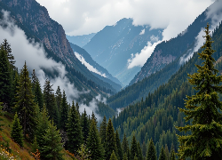 Góry, Chmury, Las, Drzewa, Dolina