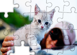 Mały, Kotek, Kobieta