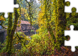 Jesień, Młyn, Cedar Creek Grist Mill, Rzeka, Drzewa, Las, Stan Waszyngton, Stany Zjednoczone