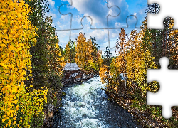 Jesień, Las, Pożółkłe, Drzewa, Rzeka, Młyn Myllykoski, Park Narodowy Oulanka, Gmina Kuusamo, Laponia, Finlandia
