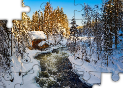 Las, Drzewa, Rzeka, Młyn Myllykoski, Zima, Park Narodowy Oulanka, Gmina Kuusamo, Laponia, Finlandia