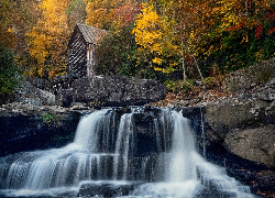 Drzewa, Jesień, Rzeka, Skały, Młyn wodny, Glade Creek Grist Mill, Park Babcock State, Wirginia Zachodnia, Stany Zjednoczone