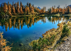 Jezioro, Lago Federa, Góry, Jesień, Drzewa, Żółte, Modrzewie, Włochy