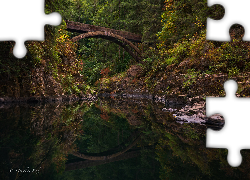 Las, Drzewa, Rzeka Lewis River, Most Moulton Falls Bridge, Skały, Stan Waszyngton, Stany Zjednoczone