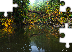 Las, Rzeka Lewis River, Most Moulton Falls Bridge, Skały, Stan Waszyngton, Stany Zjednoczone