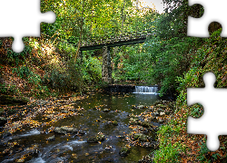 Wielka Brytania, Rzeka River Neb, Wyspa Man, Most, Jesień, Drzewa, Liście, Roślinność