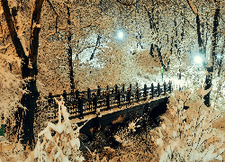 Drzewa, Most, Park, Most, Zima, Śnieg