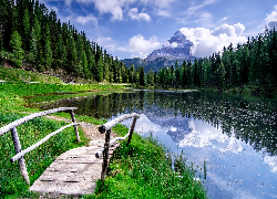 Góry, Dolomity, Las, Drzewa, Jezioro, Antorno Lake, Mostek, Trawa, Chmury, Włochy