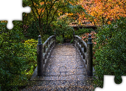 Ogród japoński, Drzewa, Krzewy, Jesień, Portland Japanese Garden, Portland, Oregon, Stany Zjednoczone, Mostek
