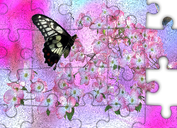 Kwiaty, Motyle, Kolorowe tło, Grafika
