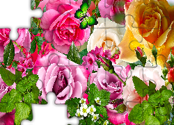 Kwiaty, Róże, Motyl, Mięta, 2D