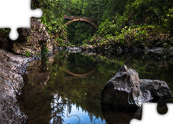 Stany Zjednoczone, Stan Waszyngton, Moulton Falls Regional Park, Rzeka Lewis, Most Moulton Falls Bridge, Rzeka, Kamienie, Las