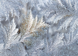 Mroźne, Wzory, Szyba, Grafika AI, Zima