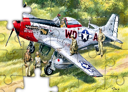 Samolot, Myśliwiec, North American P-51 Mustang, Reprodukcja obrazu