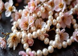 Różowe, Kwiaty, Gałązki, Korale, Perły