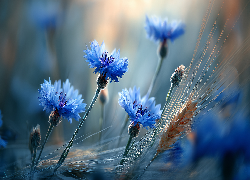 Chabry, Kłosy, Niebieskie, Kwiaty, Zboże, Grafika AI