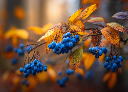 Niebieskie, Owoce, Jagody, Jesienne, Liście, Grafika AI