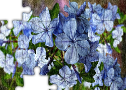 Niebieskie, Kwiaty, Zbliżenie, Grafika