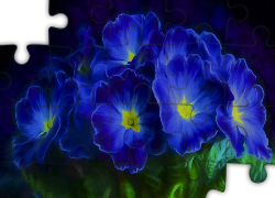 Niebieskie, Kwiaty, Prymulki, Grafika 2D