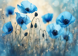 Niebieskie, Kwiaty, Maki, Grafika