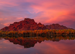 Stany Zjednoczone, Arizona, Góry, Goldfield Mountains, Rzeka, Salt River, Odbicie, Drzewa