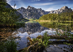 Austria, Góry, Jezioro, Almsee, Drzewa, Odbicie