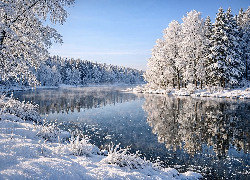 Zima, Rzeka, Oszronione, Drzewa, Odbicie