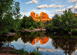 Cathedral Rock, Skały, Odbicie, Rzeka, Oak Creek, Drzewa, Sedona, Arizona, Stany Zjednoczone