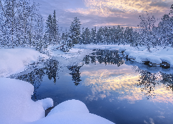 Zima, Rzeka, Drzewa, Ośnieżone, Śnieg, Odbicie