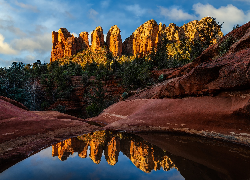 Stany Zjednoczone, Arizona, Sedona, Czerwone Skały, Drzewa, Siedem Świętych Basenów, Seven Sacred Pools, Woda, Odbicie