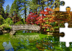 Ogród Nishinomiya Tsutakawa Japanese Garden, Ogród japoński, Staw, Mostek, Miasto Spokane, Stan Waszyngton, Stany Zjednoczone