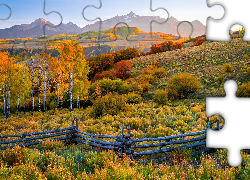 Stany Zjednoczone, Stan Kolorado, Telluride, Jesień, Góry, San Juan Mountains, Kolorowe, Drzewa, Ogrodzenie